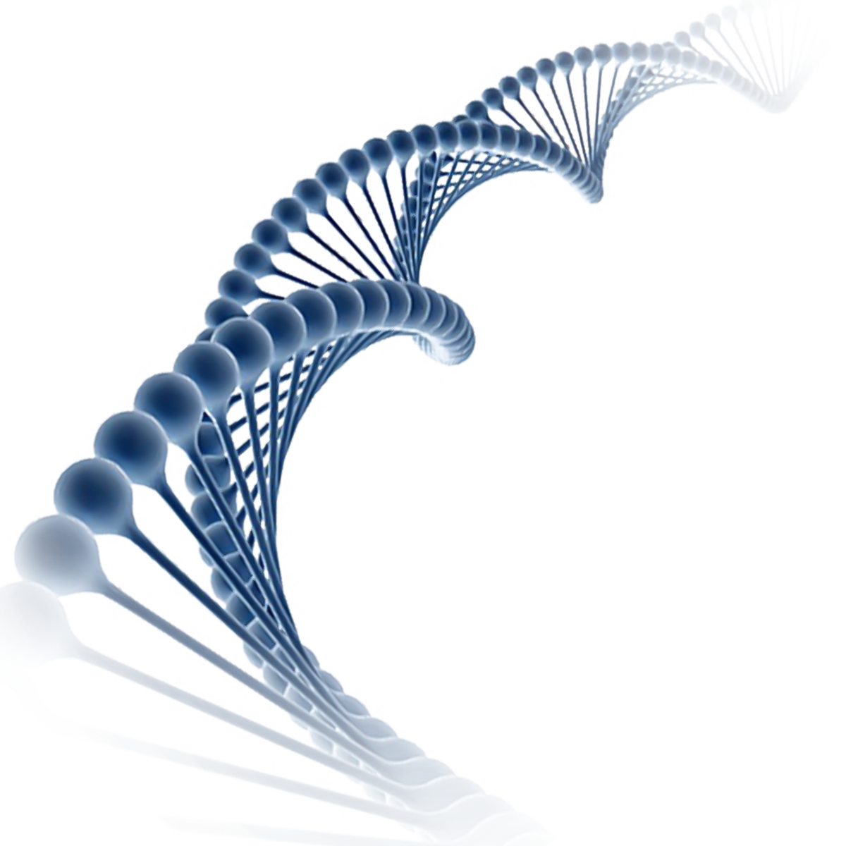 DNA paralax